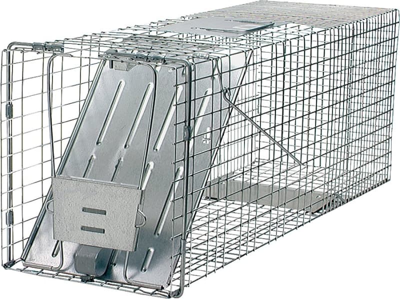 Havahart 1079 Animal Trap, 32 in L, 10 in W, 12 in H, Spring-Loaded Door – image 1