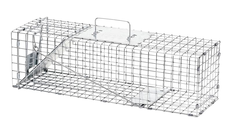 Havahart 1078 1-Door Standard Animal Trap, 24 in L, 7 in W, 7 in H – image 1