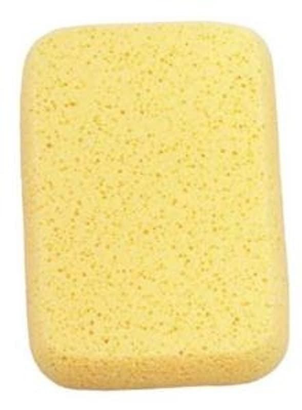 Richard 05598 Professional Grouting Sponge, 8 in L, 5 in W, 2 in Thick, Foam Rubber – image 1