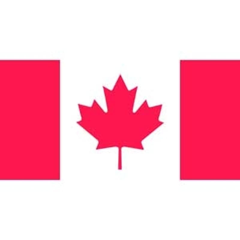 Flying Colors 34-003618Q Canada Flag, 18 in W, 36 in H, Polyester – image 1
