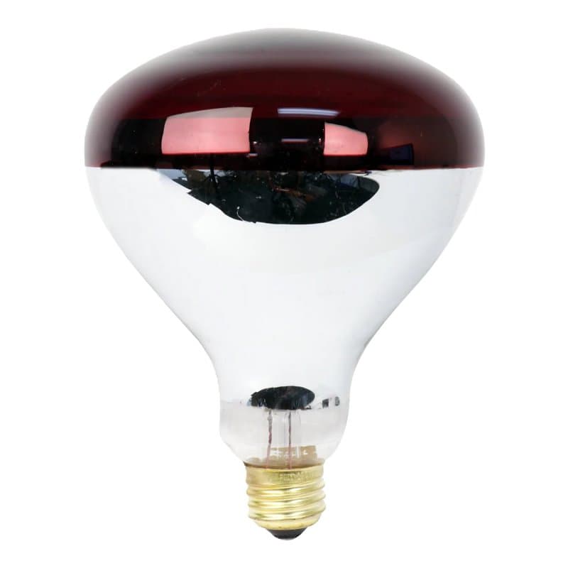 Feit Electric 250R40/R Incandescent Lamp, 250 W, R40 Lamp, Medium E26 Lamp Base, 2700 K Color Temp, 2000 hr Average Life – image 1