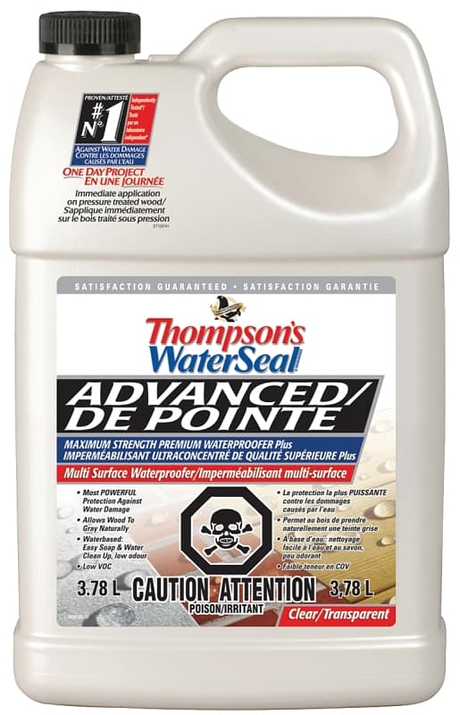 Thompson's WaterSeal THC051701-16 Water Sealant, Clear – image 1