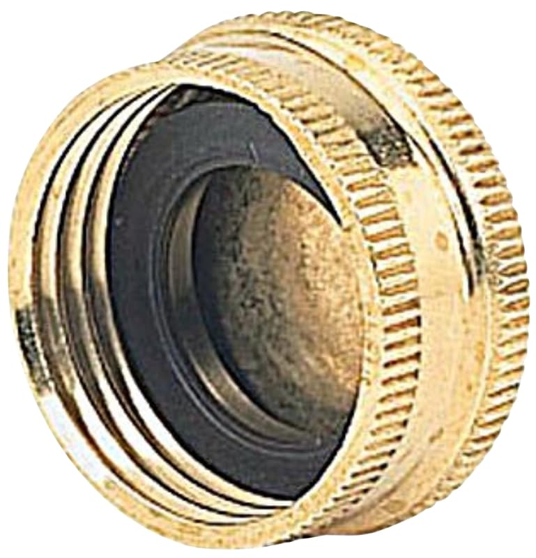 CAP BRS W/ WASHER – image 1